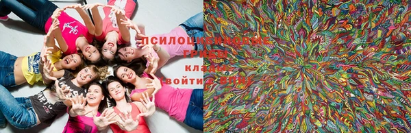 прущие крисы Покачи