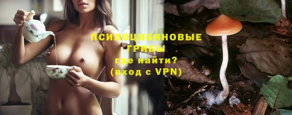 прущие крисы Покачи