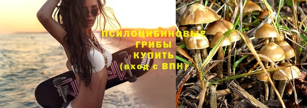 ПСИЛОЦИБИНОВЫЕ ГРИБЫ Покровск