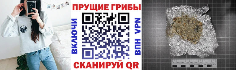 Купить  Маркс  Псилоцибиновые грибы Psilocybe 